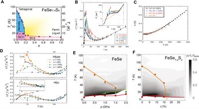 Relationship Between Nematicity, Antiferromagnetic Fluctuations, and Superconductivity in FeSe1−xSx Revealed by NMR